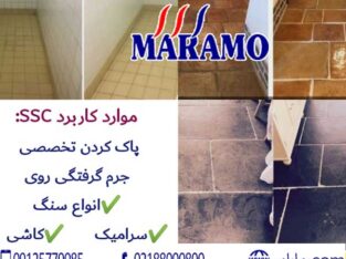 پاک کننده جرم از روی سنگ